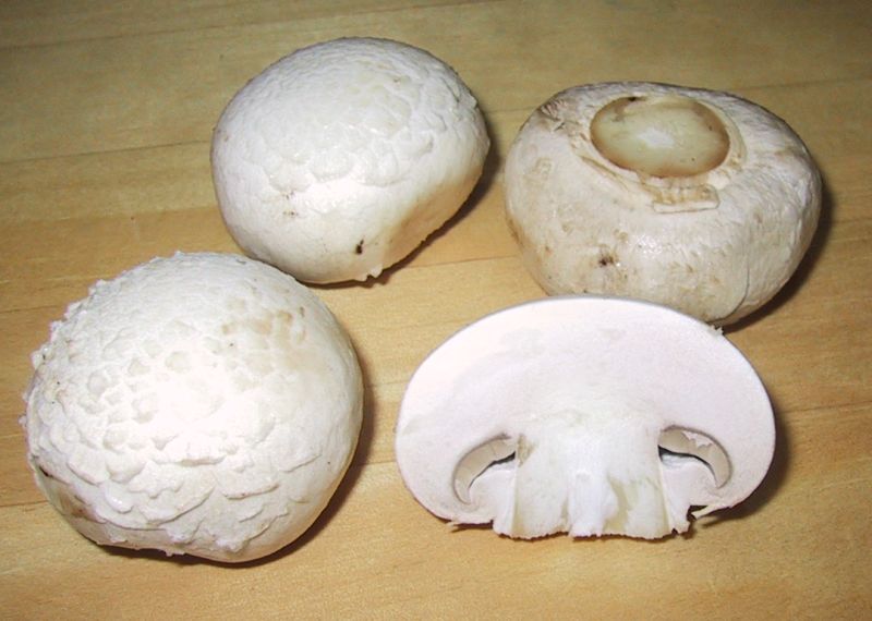 Button Mushrooms (बटन च्याउ)